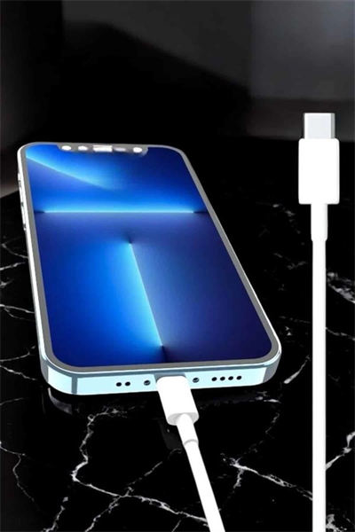 Iphone Uyumlu İOS Uyumlu Lightning Hızlı Şarj Tye C Lightning Şarj Kablosu