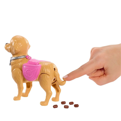 JJB46  ve Köpekçiğin Yürüyüş Zamanı