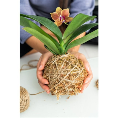 Jut İpi 100 Gr Doğal İp, Çuval İp, Hasır İp, Hasır Renk 3 Adet