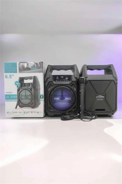 Kablosuz 6.5 İnç TWS Bluetooth Hoparlör