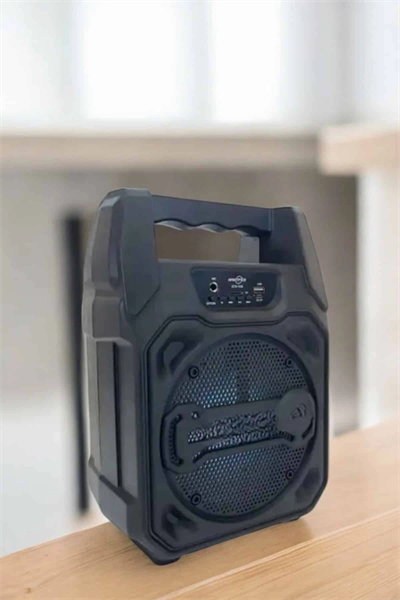 Kablosuz 6.5 İnç TWS Bluetooth Hoparlör