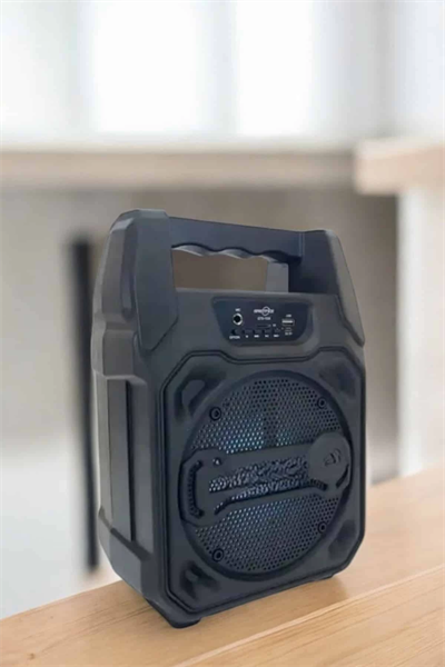 Kablosuz 6.5 İnç TWS Bluetooth Hoparlör