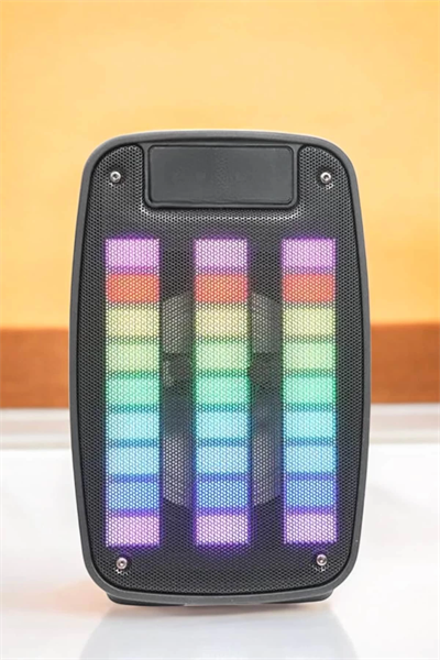 Kablosuz Bluetooth Hoparlör Taşınabilir 6.5 inç LED Işık Kareoke