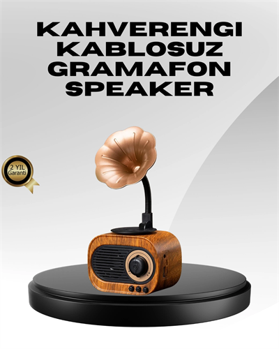 Kablosuz Retro Radyo Hoparlör 5W Güçlü Ses USB Hafıza Kart Destekli