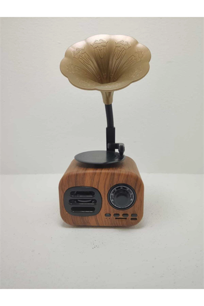Kahverengi Nostaljik Tasarımlı Mini Bluetooth Radyo ve Hoparlör, Klasik Gramafon Görünümlü
