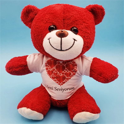Kalpli Seni Seviyorum Tişörtlü Kırmızı Peluş Ayıcık
