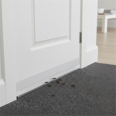 Kapı Eşiği Bandı 3 Mt – Toz, Soğuk ve Böcek Önleyici Kendinden Yapışkanlı İzolasyon Şeridi