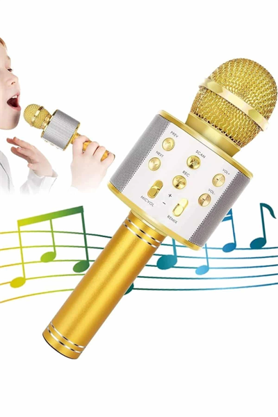 Karaoke Mikrofon Dahili Hoparlörlü Sd-usb-aux Girişli Bluetooth Hoparlör