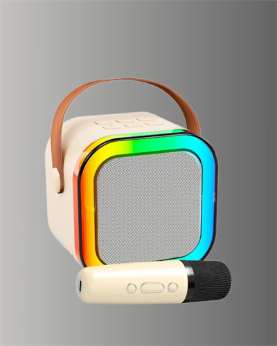 Karaoke Mikrofon Hoparlör Seti 6 Saat Kullanım Süresi