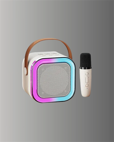 Karaoke Mikrofon Hoparlör Seti 6 Saat Kullanım Süresi