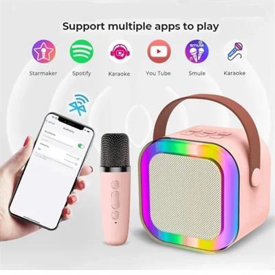 Karaoke Mikrofon Hoparlör Seti Mini (3936)