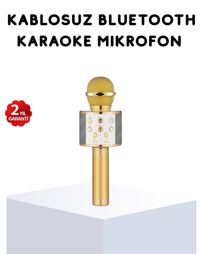 Karaoke Mikrofonu Bluetooth USB AUX Girişli Yankı Efektli