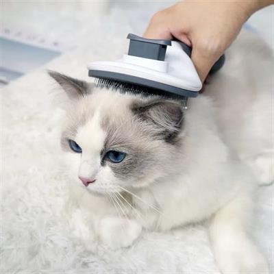 Kedi Köpek Tüy Toplayıcı Kendini Temizleyebilen Ergonomik Rahat Evcil Hayvan Tarağı Gri (3936)
