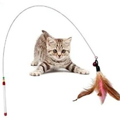 Kedi Oyun Oltası 90 Cm Bx40