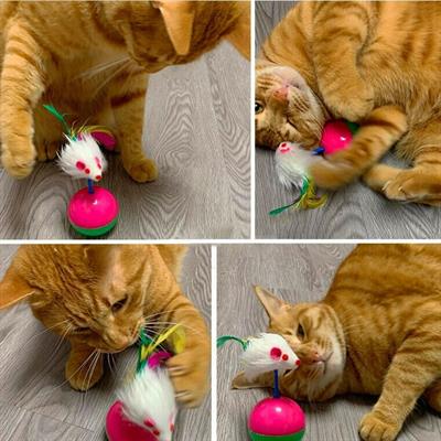 Kedi Oyun Topu Tüylü Fareli Hacı Yatmaz Eğitici Yavru Kedi Fare Kovalama Oyuncağı (3936)