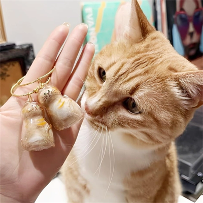 Kedi Şeffaf Anı Anahtarlığı - Kedi Figürlü - Karışık Model