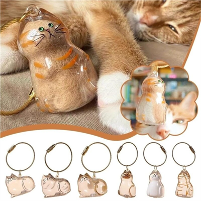 Kedi Şeffaf Anı Anahtarlığı - Kedi Figürlü - Karışık Model