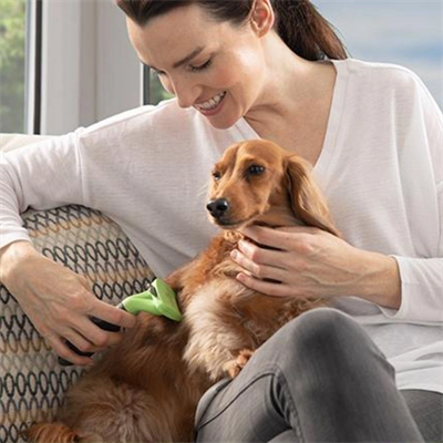 Kedi Ve Köpekler İçin Uzun Tüylü Köpek Tarağı Tüy Toplayıcı Tarak Small Bx40