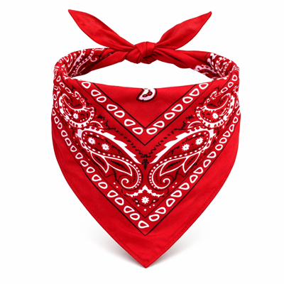 Kırmızı Kovboy Fuları Çocuk Bandana Western Desenli Boyun Fuları