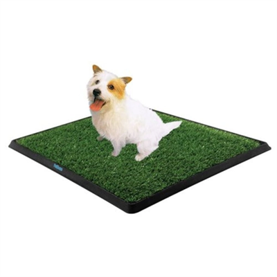 Köpek Tuvalet Eğitim Seti Çimli 3 Tabakalı Puppy Potty Pad 47x34x3.8 cm BX-316385