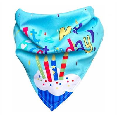 Köpekler İçin Doğum Günü Partisi Seti