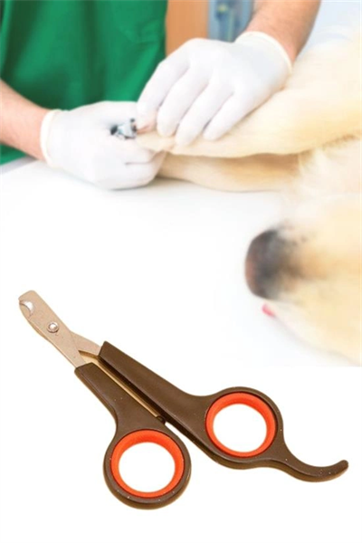 Küçük Çelik Uçlu Kedi Köpek Evcil Hayvan Tırnak Makası Pati Bakım Aleti Ergonomik Kaymaz Sap Bx40