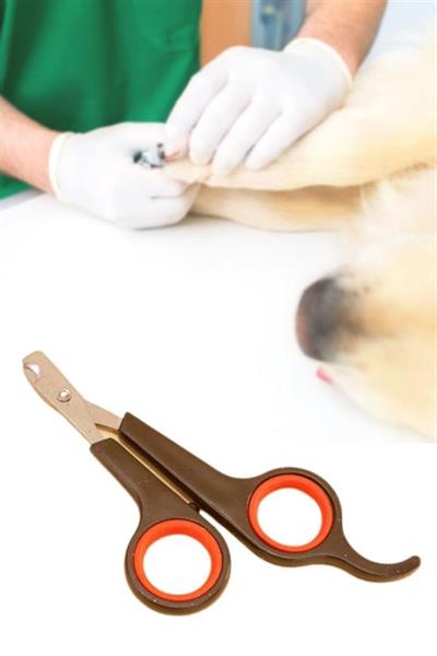 Küçük Çelik Uçlu Kedi Köpek Evcil Hayvan Tırnak Makası Pati Bakım Aleti Ergonomik Kaymaz Sap (3936)