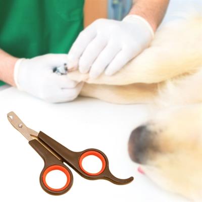 Küçük Çelik Uçlu Kedi Köpek Evcil Hayvan Tırnak Makası Pati Bakım Aleti Ergonomik Kaymaz Sap (3936)