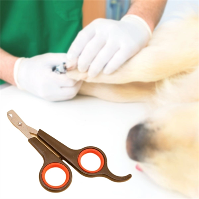 Küçük Çelik Uçlu Kedi Köpek Evcil Hayvan Tırnak Makası Pati Bakım Aleti Ergonomik Kaymaz Sap Bx40