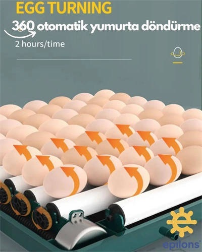 Kuluçka Makinesi Epo-130my Extra Hediyeli 130 Yumutalık Yedek Motorlu İncubator