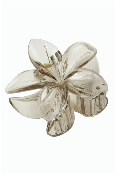 Lotus Toka 8 cm