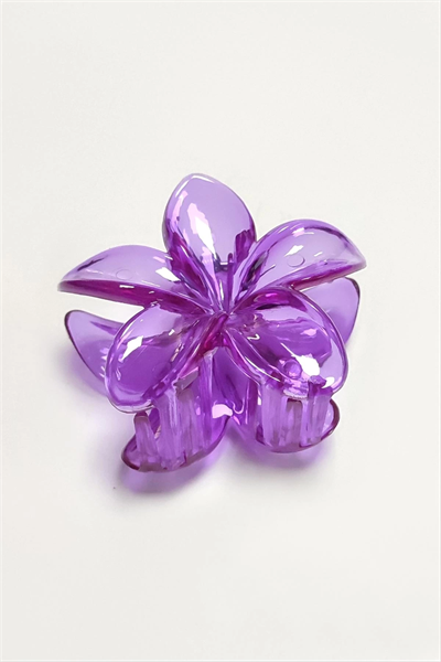Lotus Toka 8 cm