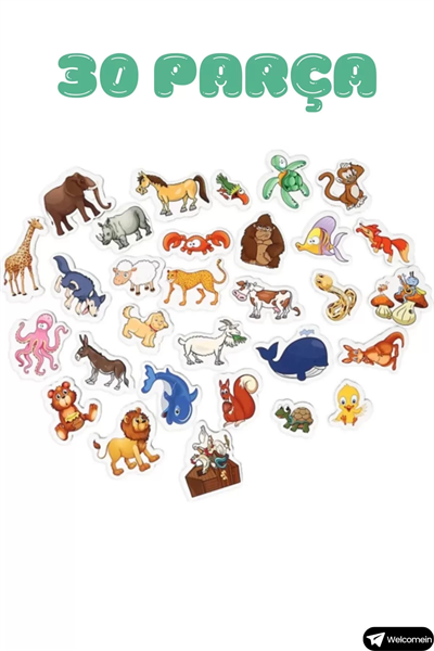 Manyetik Hayvanlar Seti – Çocuklar İçin Eğitici Mıknatıslı Oyuncak