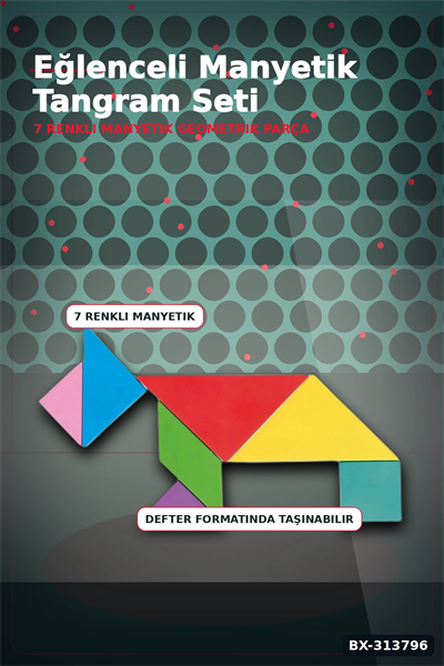 Manyetik Tangram Defteri 7 Ahşap Parça Mıknatıslı - 3+ Yaş Eğitici Zeka Oyunu BX-313796
