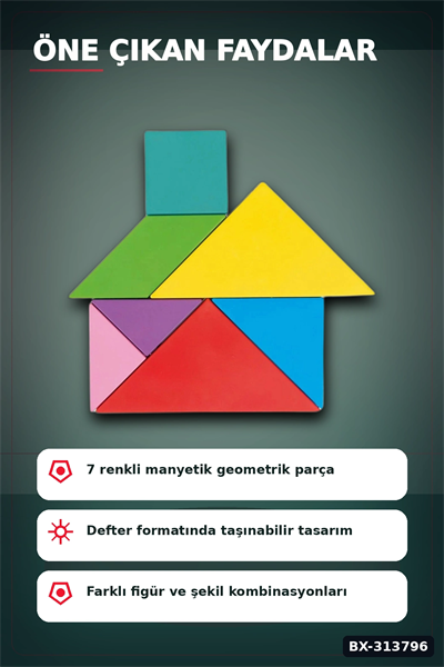 Manyetik Tangram Defteri 7 Ahşap Parça Mıknatıslı - 3+ Yaş Eğitici Zeka Oyunu BX-313796