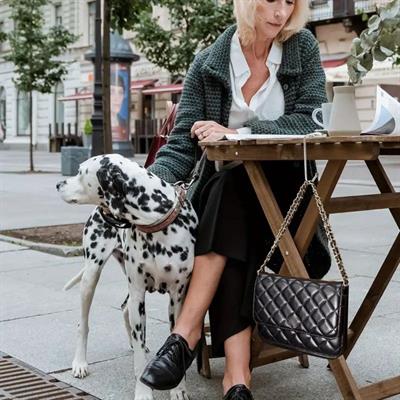 Masaya Takılabilen Çanta Askısı Çanta Tipi Pratik Metal Çanta Kanca (3936)