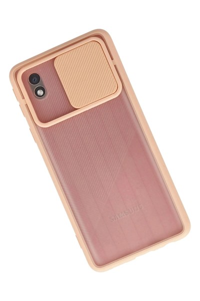 Mey İthalat®  Samsung Galaxy A01 Core Kılıf Palm Buzlu Kamera Sürgülü Silikon - Pembe