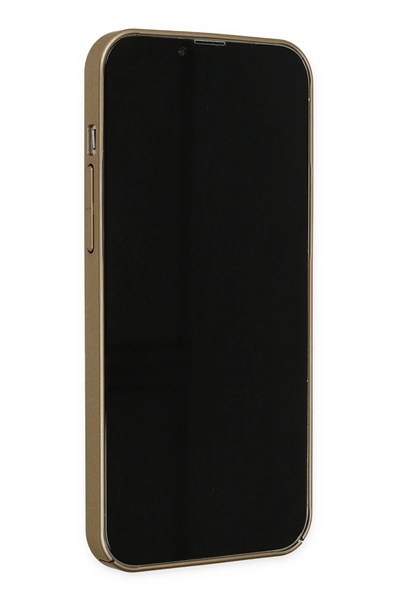 Mey İthalat®  iPhone 13 Pro Kılıf Jack Magneticsafe Lens Silikon - Gold