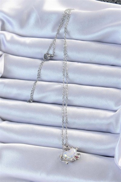 Mey İthalat® 316L Çelik Zincir Gümüş Renk Zirkon Taşlı Gezegen Görünümlü Kalp Kolye