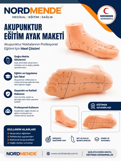 Mey İthalat® NORDMENDE Akupunktur Eğitim Ayak Maketi Anatomik Refleksoloji Nokta Gösterim Modeli Eğitim Maketi