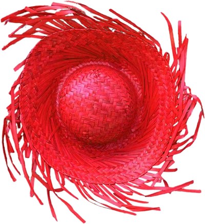 Mey İthalat® Tropikal Parti Kırmızı Hasır Hawaii Şapkası 13x36 cm