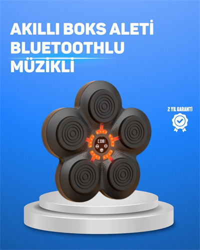 Müzikli Boks Duvar Paneli Akıllı Işık Sistemli Refleks ve Kondisyon Aleti