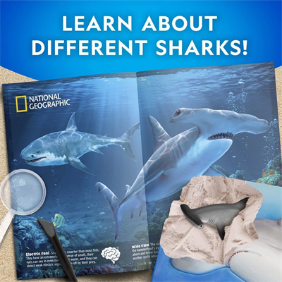 NAT07002 National Geographic Köpek Balığı Bulma Kiti - TRHAMSHDIG +6 yaş