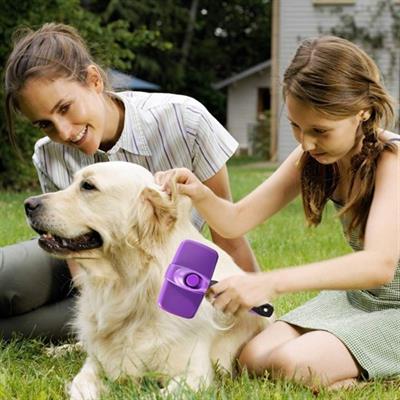 Otomatik Temizlenebilen Tuşlu Pratik Kedi Köpek Tüy Toplama Fırçası (3936)