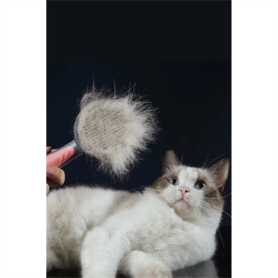 Otomatik Tuşlu Kendini Temizleyen Kedi Köpek Tarağı