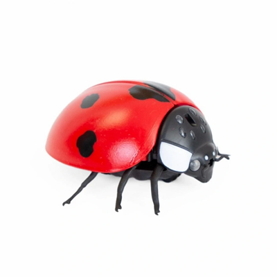 Oyuncak Işıklı Uğurböceği