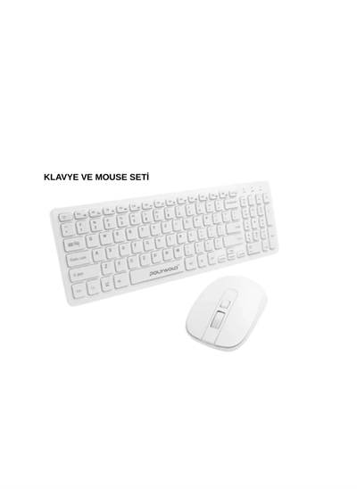 PG-8040 KLAVYE VE MOUSE SETİ
