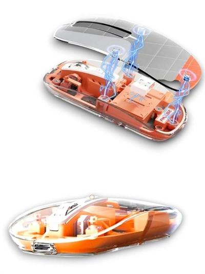 PG-9010 MOUSE FARE