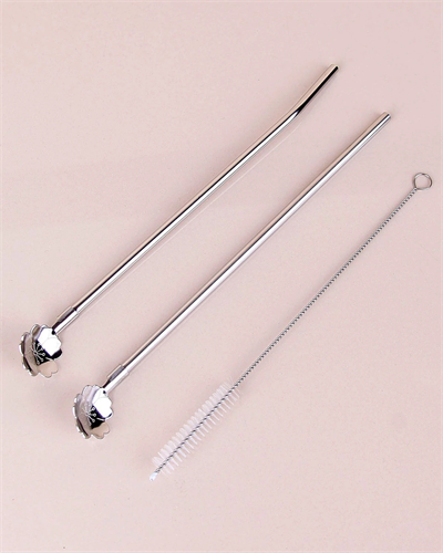 Paslanmaz Metal 2 Li Kaşıklı Pipet Fırça Seti