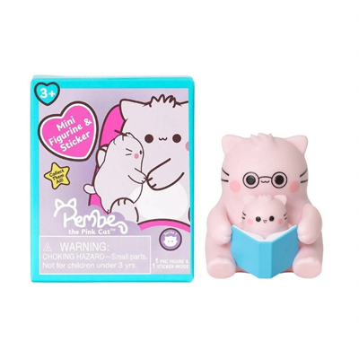 Pembe Kedi Sürpriz Paket